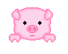 Cute pink piggy