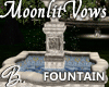 *B* MV Fountain