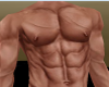 Muscular Male Skin