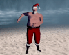 Ani- Santa Claus Dancer