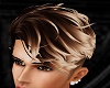 Sand Bronze Hair