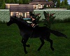 Rideable Black horse