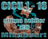 citizen soldier: icu