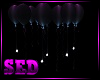 |S| Balloon Bday 2