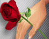 Hand Red Rose Animated