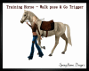 Traing Horse w pose & Tr