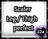 22a_Leg-Thigh Scaler 