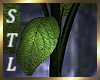 Nexus Plant Set