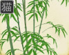 JK Tanabata Bamboo