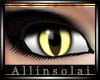 [AS] Yellow Cat Eye