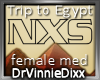 Trip to Egypt T F-M