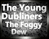 The Young Dubliners The