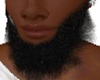 beard asteri