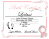 Lani's Birth Certificate
