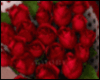 Amore  Valentine's Roses