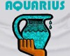 'AQUARIUS' Top