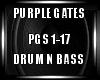 Purple Gates DNB