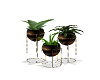 !Radiant! Manor Plant V1