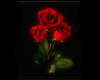 3 ROSES WALL  PICTURE