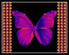 bright wings/picture
