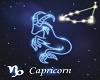 Capicorn Zodiac