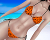 B|BIKINI DOTS B GA ✿