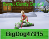[BD] Sweet Candy Cane2