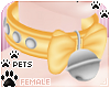 [Pets]Collar v1 | Yellow