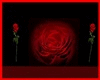 `A` Red Rose