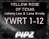 *P* Yellow Rose Of Texas