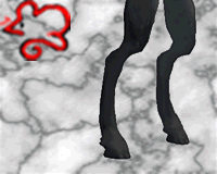Horse Legs Black