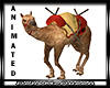 DM*  camel animated 