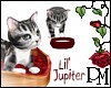 [PBM] Lil Jupiter Bed