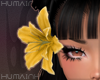 ☼ Yellow Lily