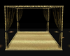 *2025*Black /Gold Canopy