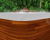 Persuasion Spa Hot Tub