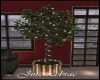 JL} Winter Tree