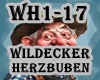 volkstümliche Hit-Mix