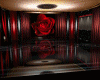 Sensual Red Rose