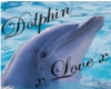 Dolphin2202000