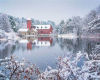 Maine Winter T.V.