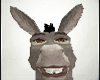 Donkey Avatar
