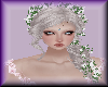 (V) Moonbeam roses