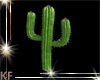 Western Cactus Fillers