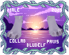 Stormy Feet