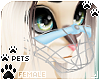 [Pets] Muzzle | Sky