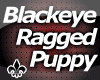 Blackeye Ragged Puppy