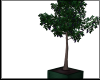 Tree Planter V1