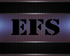 GS EFS Logo