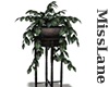 [ML] Stand Plant